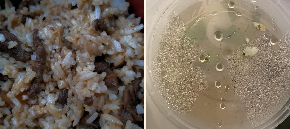 Meiko - Gallery Image 5